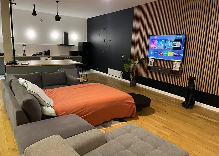 Grand Loft idéal pour visiter le Salon de l\'Auto